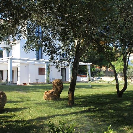 Villa La Conchiglia Rooms กาลา ลีเบรอตโต ภายนอก รูปภาพ