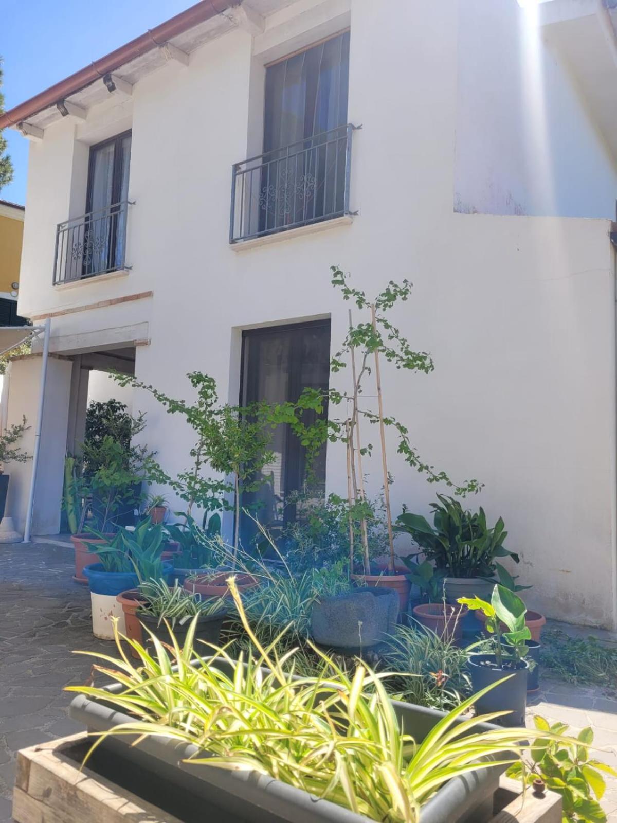 Villa La Conchiglia Rooms กาลา ลีเบรอตโต ภายนอก รูปภาพ