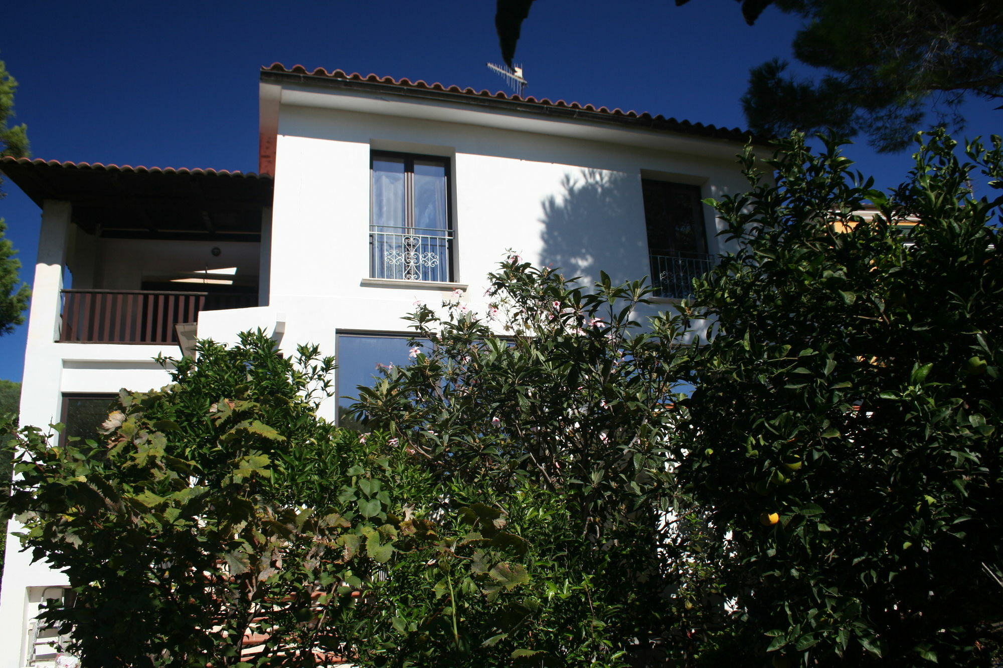 Villa La Conchiglia Rooms กาลา ลีเบรอตโต ภายนอก รูปภาพ